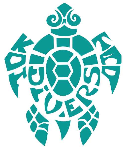 Koh Tao Divers
